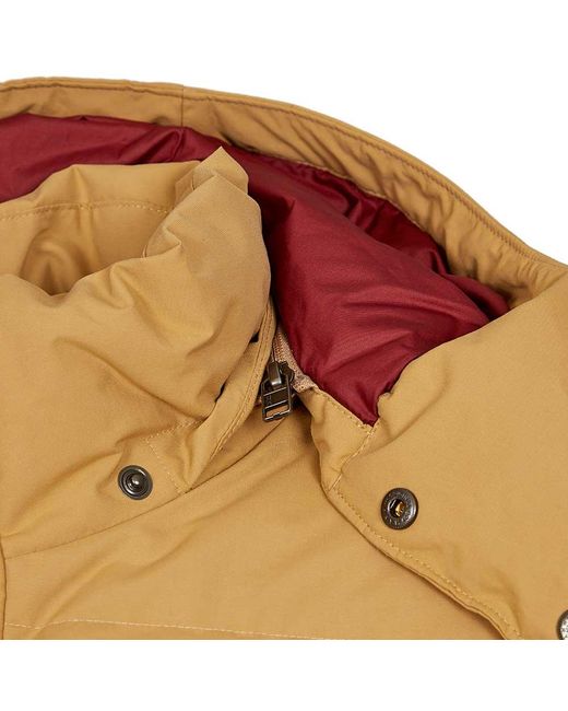 Patagonia Downdrift Jacket Brown