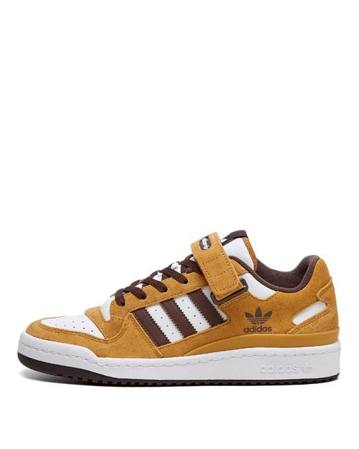 adidas Forum Low Trainers in Brown for Men | Lyst