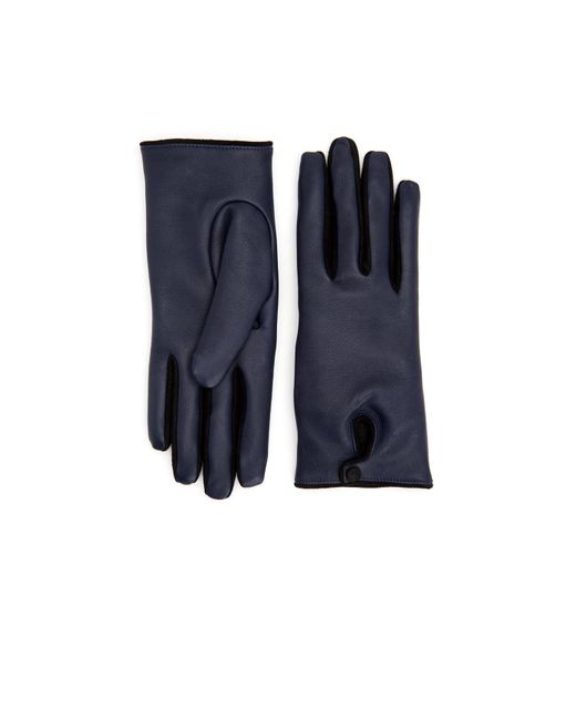 aquatalia gloves