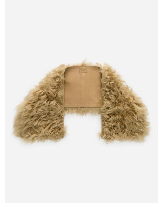 ARKET Black Shearling Collar