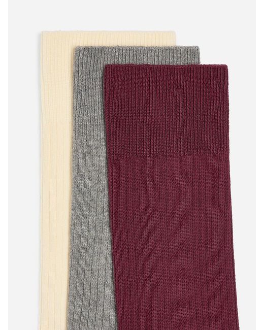 ARKET White Supima Cotton Rib Socks Set Of 3 Pairs for men