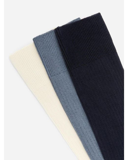 ARKET Blue Supima Cotton Rib Socks Set Of 3 Pairs for men