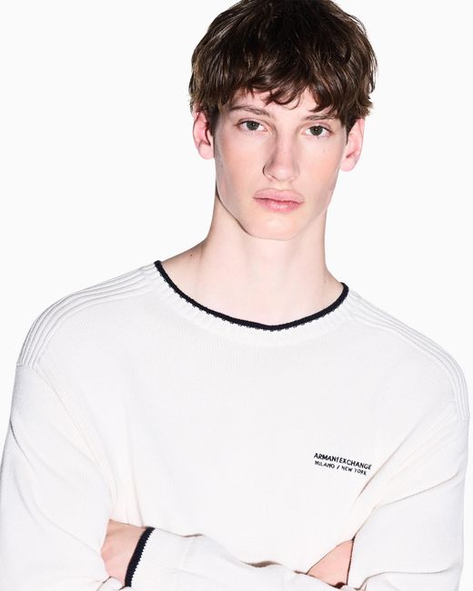 ARMANI EXCHANGE Natural Regular Fit Pullover for men