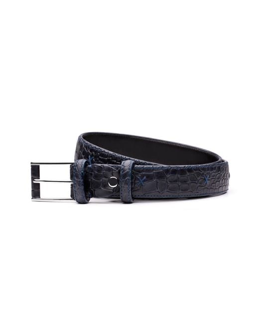 Armos Blue Belt for men