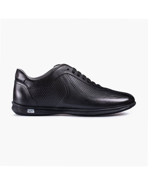 Armos Black Perforated Sneaker for men