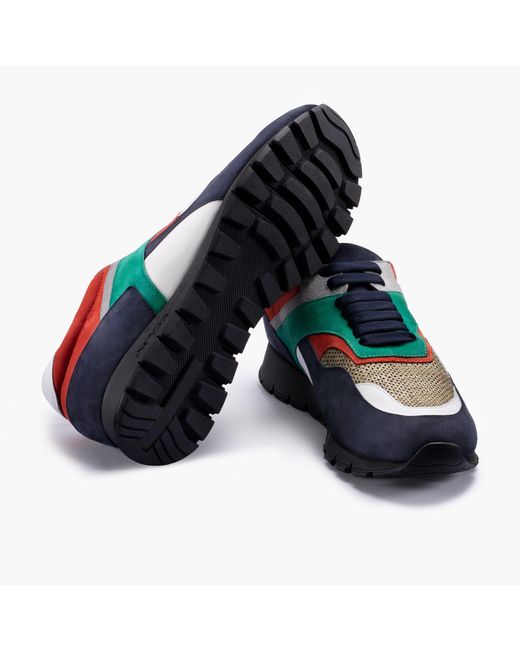 Armos Blue Multi-Color Suede Sneaker for men