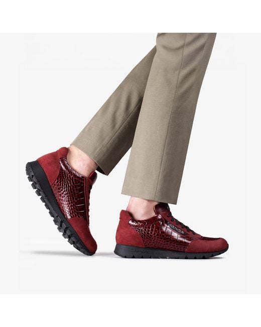 Armos Red Croc-Embossed Leather Sneaker for men