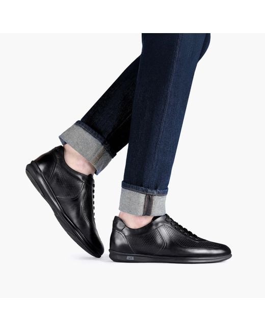 Armos Black Perforated Sneaker for men