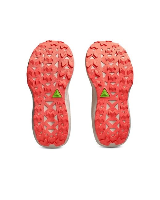 Asics Multicolor Trabuco Max 5