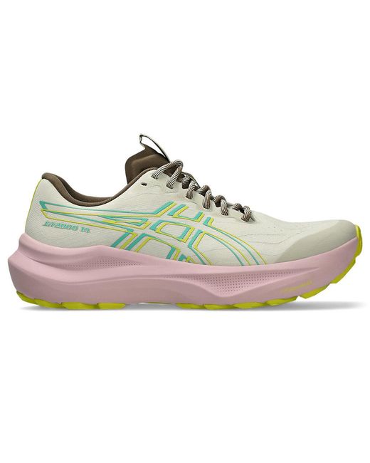 Asics Gray Gt-2000 14 Tr