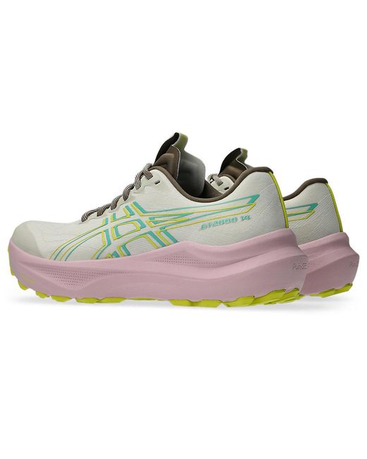 Asics Gray Gt-2000 14 Tr