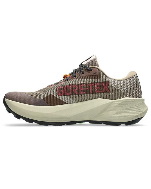 Asics Multicolor Trabuco 14 Gtx for men