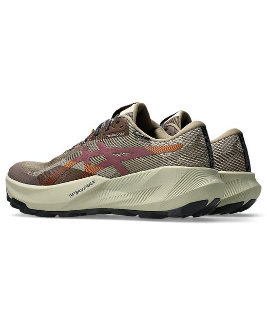 Asics Multicolor Trabuco 14 Gtx for men