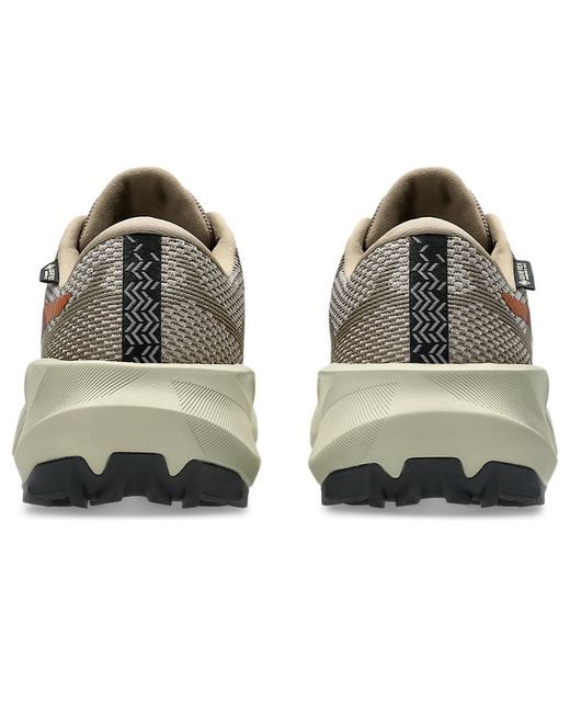 Asics Multicolor Trabuco 14 Gtx for men