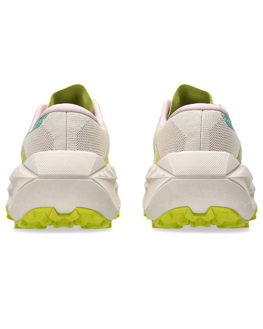 Asics Multicolor Trabuco Max 5