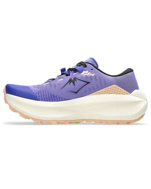 Asics Blue Trabuco Max 5