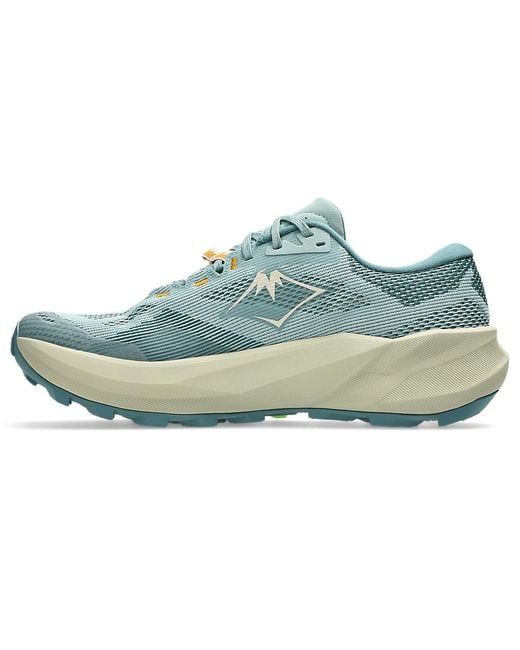 Asics Blue Trabuco 14 for men