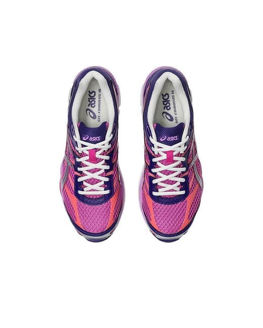 Asics Purple Gel-cumulus 16 for men