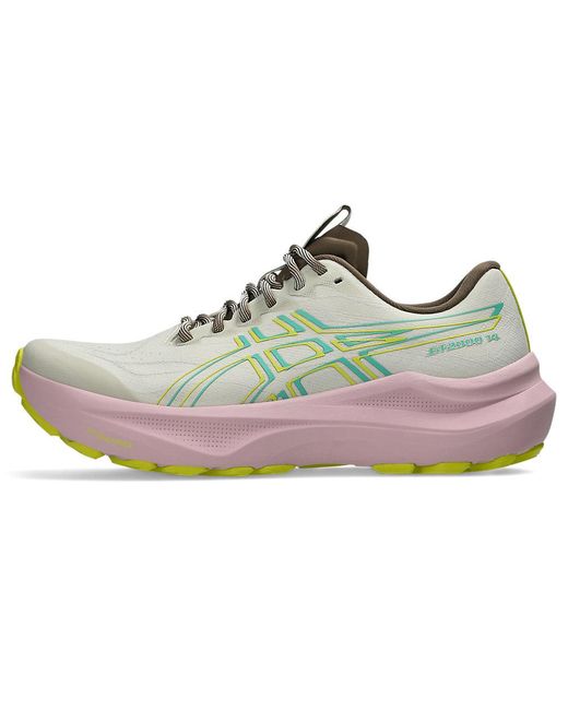 Asics Gray Gt-2000 14 Tr