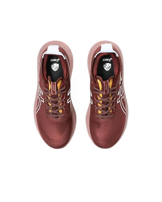 Asics Gel-Nimbus 27 Nature Bathing in het Red