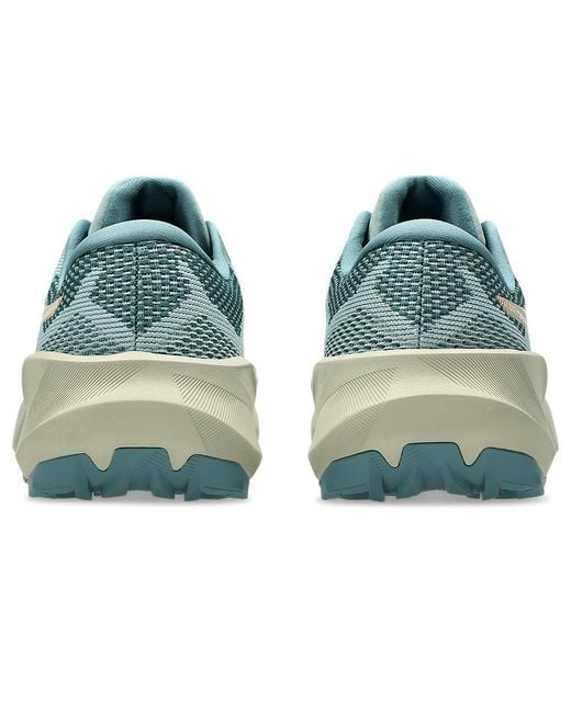 Asics Blue Trabuco 14 for men