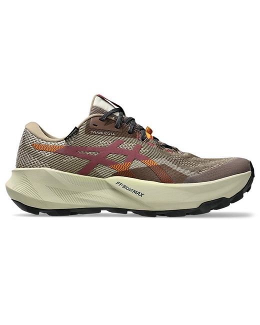 Asics Multicolor Trabuco 14 Gtx for men