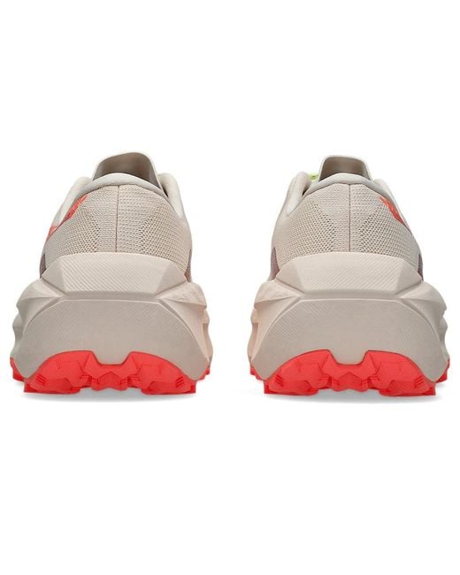 Asics Multicolor Trabuco Max 5