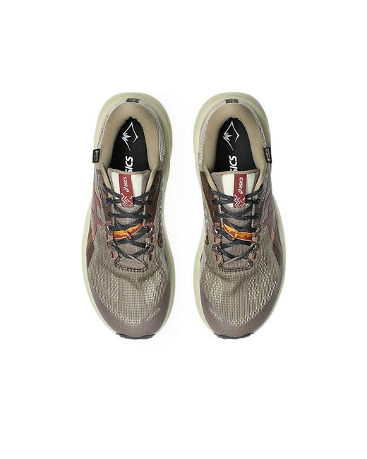 Asics Multicolor Trabuco 14 Gtx for men