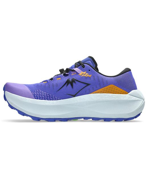 Asics Blue Trabuco Max 5 for men