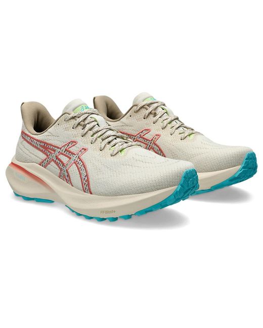 Asics Gray Gt-2000 13 Tr