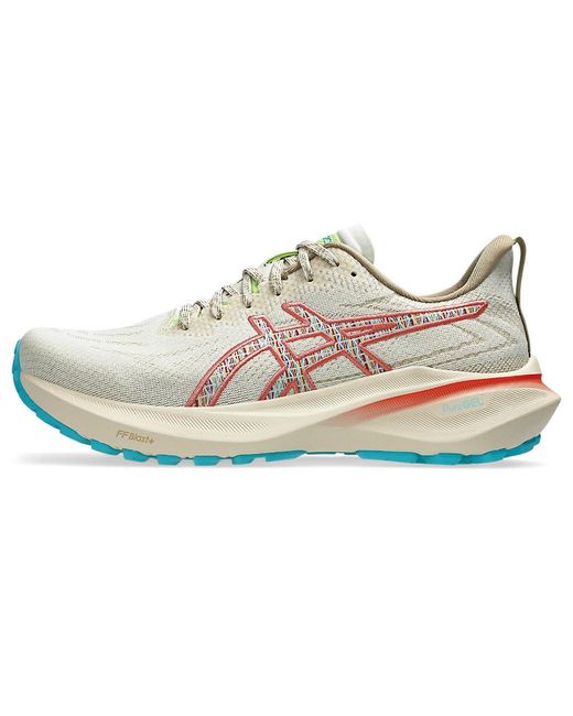 Asics Gray Gt-2000 13 Tr
