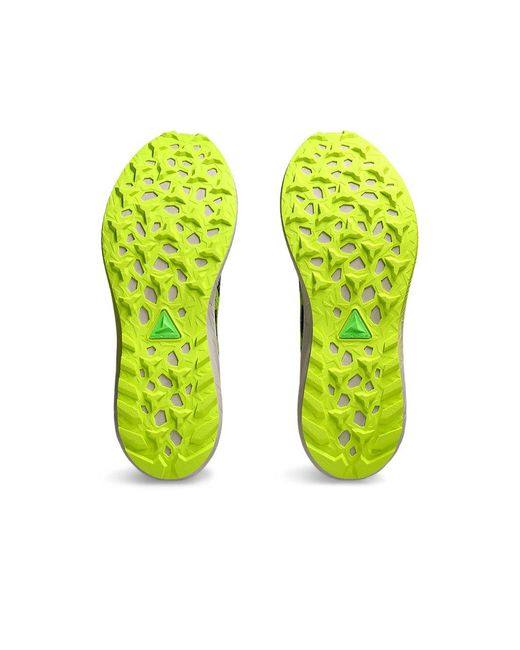 Asics Multicolor Fuji Lite 5 Running Shoes for men