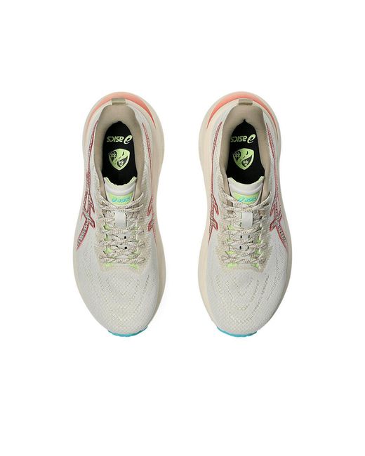 Asics Gray Gt-2000 13 Tr