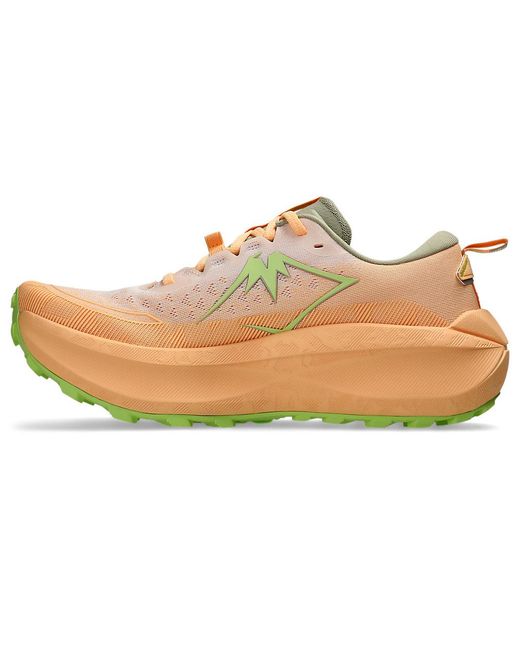 Asics Multicolor Trabuco Max 4 for men