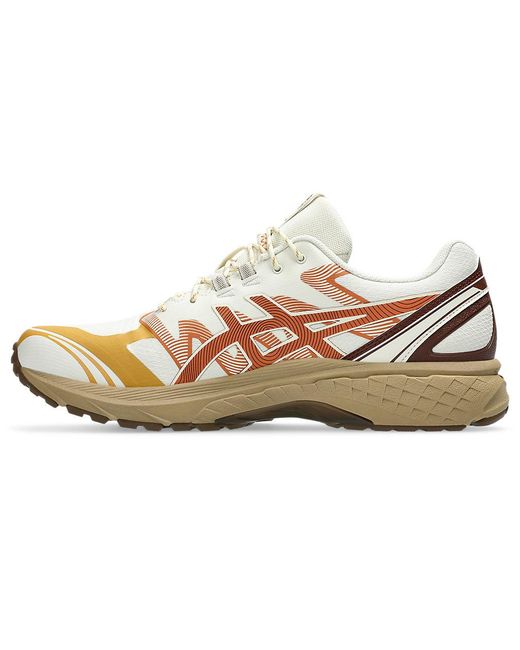Asics Multicolor Gel-Terrain for men