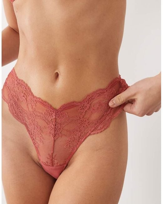 ASOS Brown Lola Lace Thong