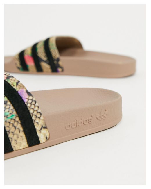 Schrijft een rapport Jonge dame Overdreven adidas Originals Adilette - Slippers Met Slangenprint | Lyst NL