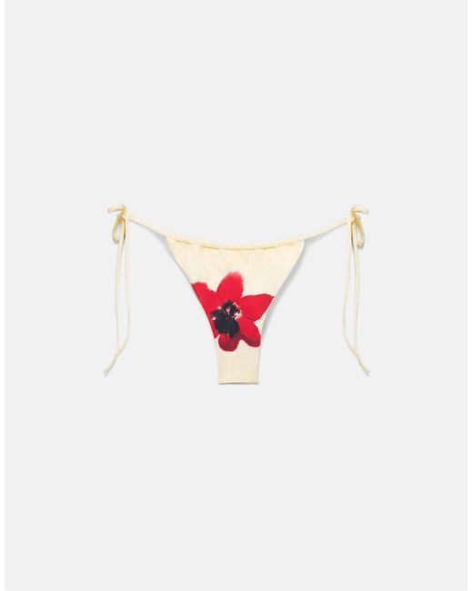 Bas Pull&Bear en coloris White