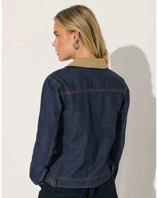 PixieGirl Blue Petite Denim Trucker Jacket