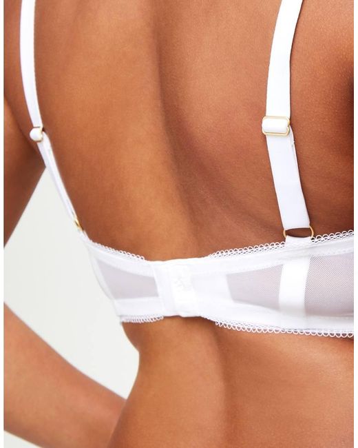 KBX Brown Alice Padded Plunge Bra