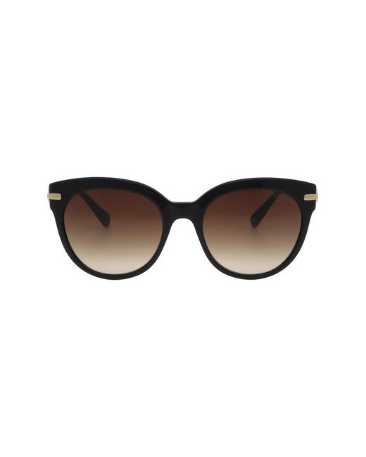 Ted Baker Brown Layla Sunglasses