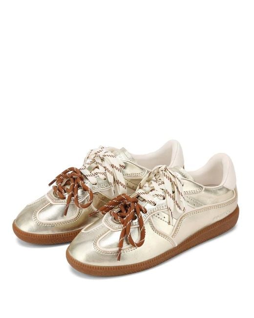 Nokwol White August Trainers