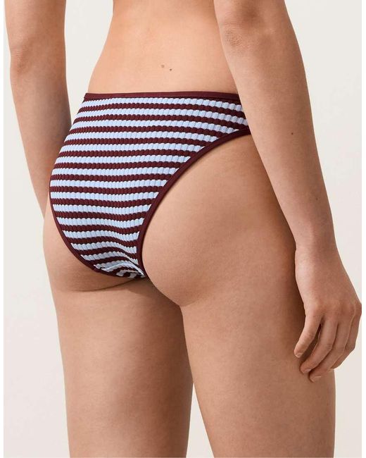 Oysho Blue Textured Stripe Classic Bikini Briefs