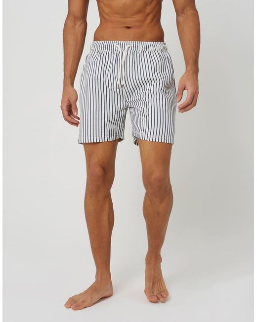 Brave Soul Blue Elasticated Swimshorts for men