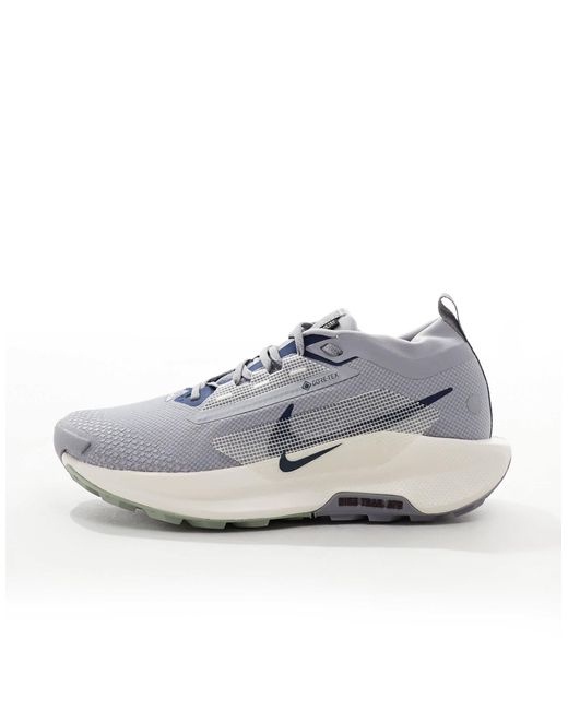 Nike Gray Reactx Pegasus Trail 5 Gore-Tex Trainers for men