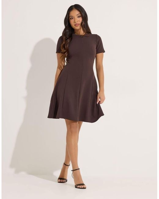 PixieGirl Brown Petite Mini Skater Dress