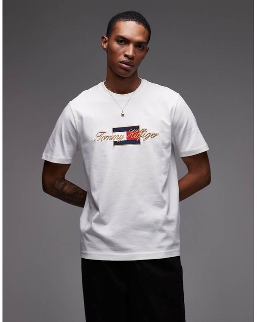 Tommy Hilfiger Gray Flag Graphic T-Shirt for men