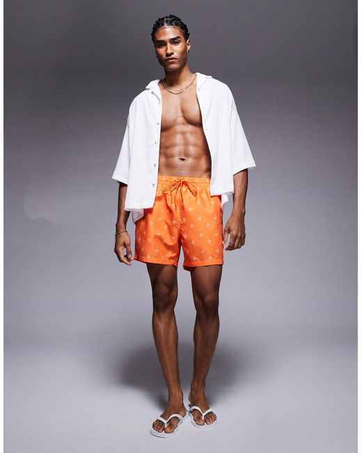 South Beach Orange Palm Tree Print Swimshort for men