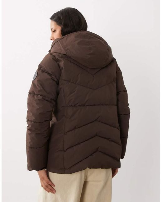 Dare 2b Brown Lustre Waterproof Insulated Jacket