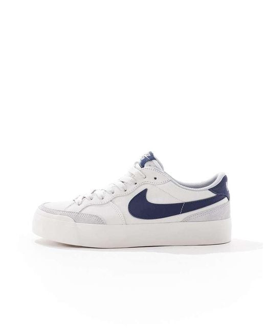 Nike Blue Sb Zoom Pogo Plus Trainers for men
